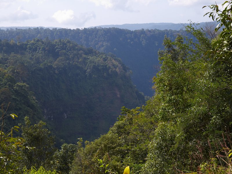 Bolaven Plateau